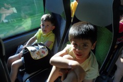 SAM_8389