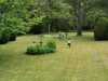 IMG-20230513-WA0045